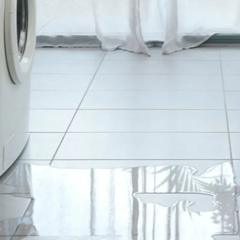 Appliance Leak Cleanup in El Portal, FL