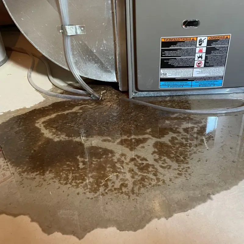 Pipe Burst and Leak Restoration in El Portal, FL